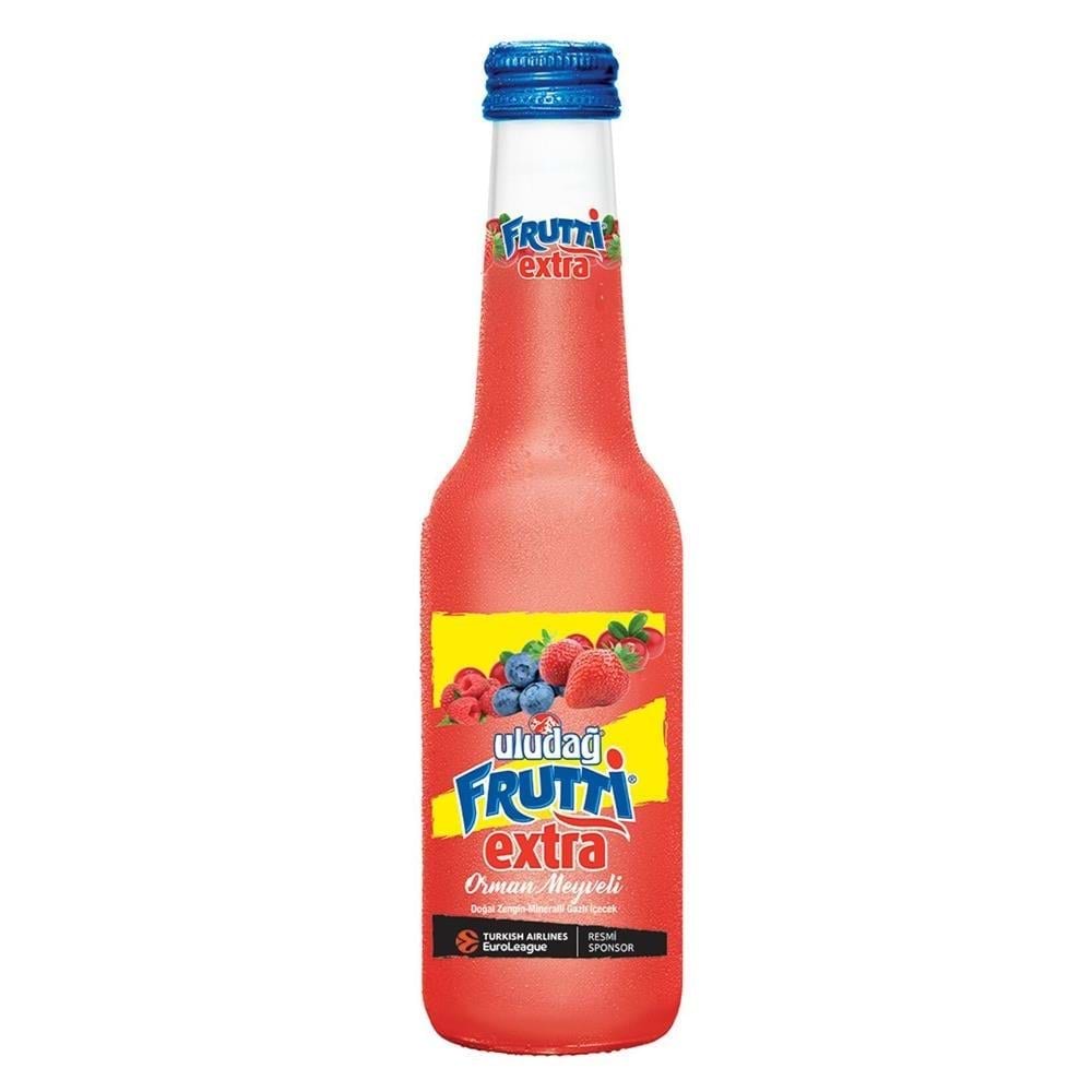 250 ML ULUDAĞ ORMAN MEYVELİ AROMALI GAZOZ