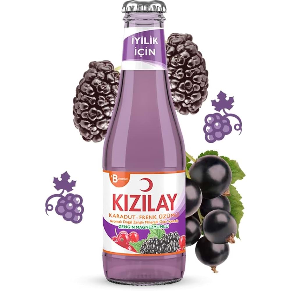 200 ML KIZILAY* KARADUT FRENK ÜZÜM AROMALI MADENSUYU