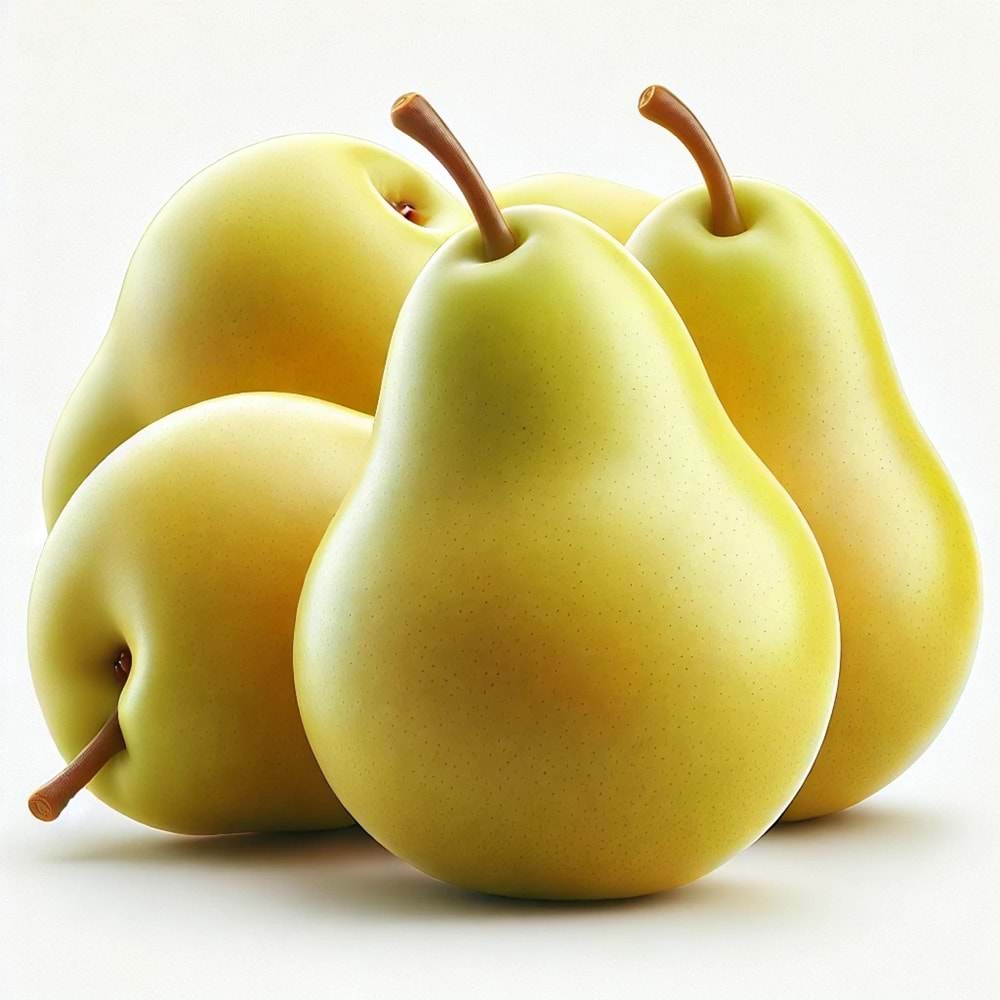 ARMUT SANTAMARIA