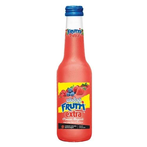 250 ML ULUDAĞ ORMAN MEYVELİ AROMALI GAZOZ