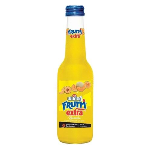 250 ML ULUDAĞ KAVUN AROMALI GAZOZ