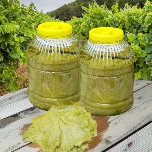 2,5 KG MANİSA SALAMURA YAPRAK