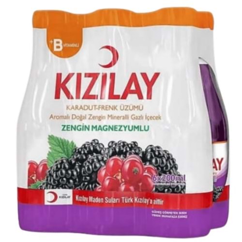 6X200 ML KIZILAY6 KARADUT FRENK ÜZÜM AROMALI MADEN SUYU